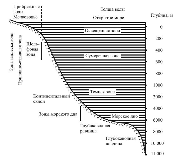 Экологическая зональность океана. Вертикальная экологическая зональность океана (по н. Батиаль абиссаль. Зональность океанов. Бенталь мирового океана.