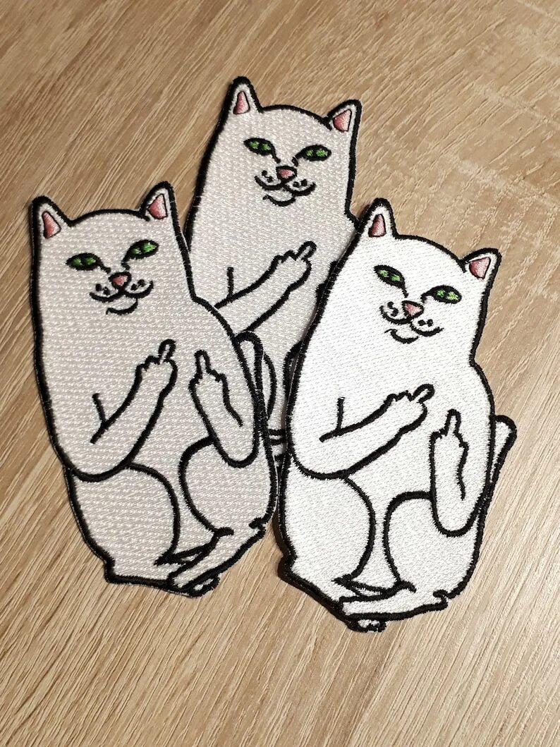 Смешные стикеры. Cat fingering. Смешные гиф с животными. Кот с факом. Веселые животные гиф.