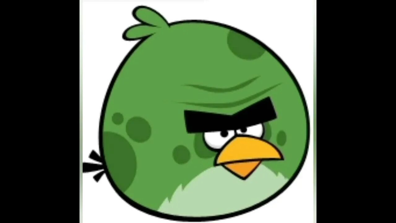 Хэл птичка angry birds. Angry birds green bird. Энгри бердз птица хэл. Энгри бердз птица хэл. Энгри бёрдз хэл.