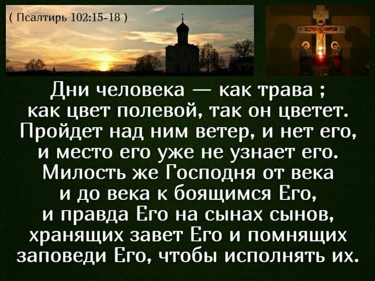 Псалом Давида благослови душе моя Господа. Цитаты Псалтирь. Изречения из псалмов. Цитаты из Библии Псалтирь.