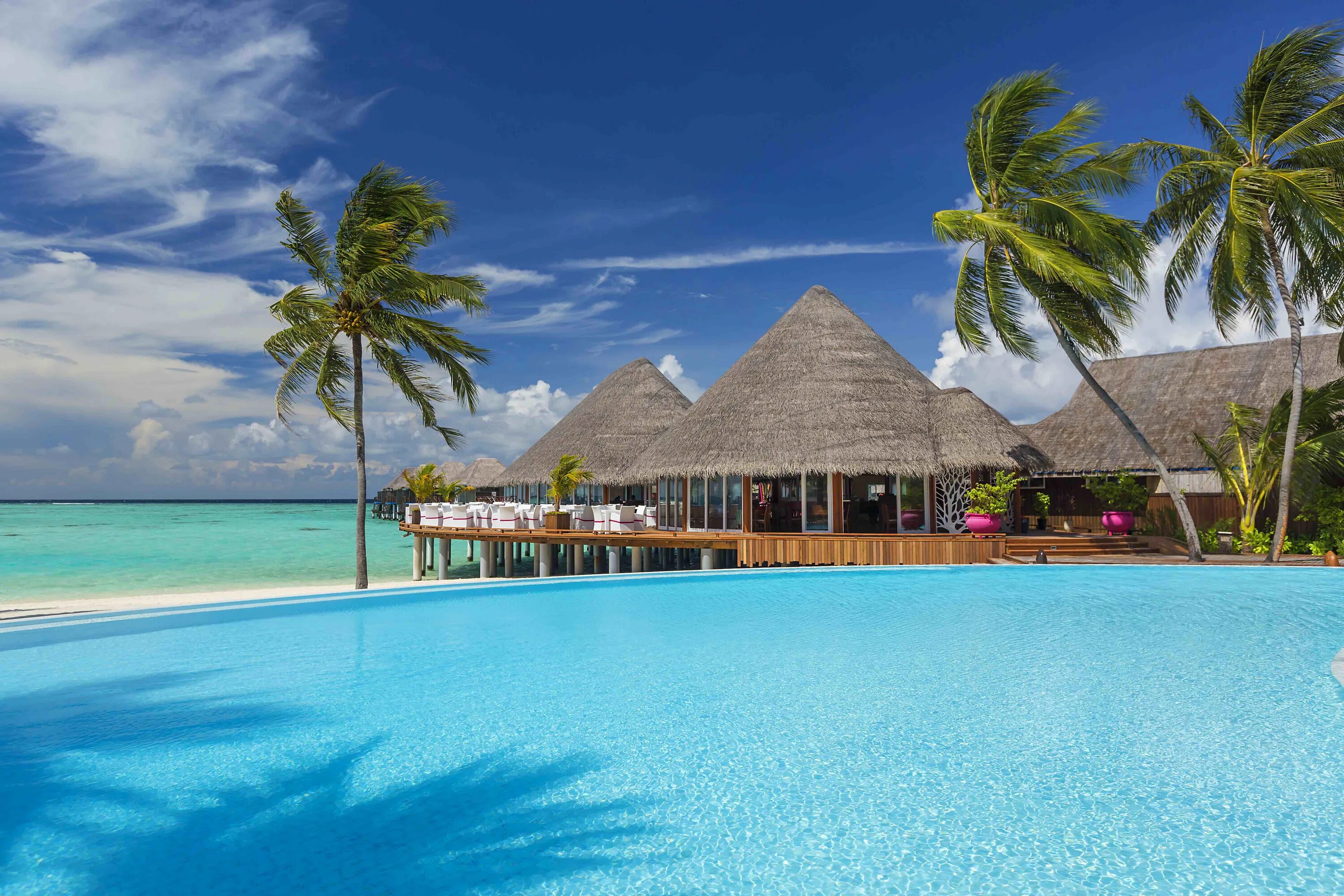 Sun siam vilu reef maldives 5. Sun siyam vilu reef карта острова. Мальдивы sun siyam vilu reef. Пляжная вилла делюкс sun siyam vilu reef. Vilu reef 5.