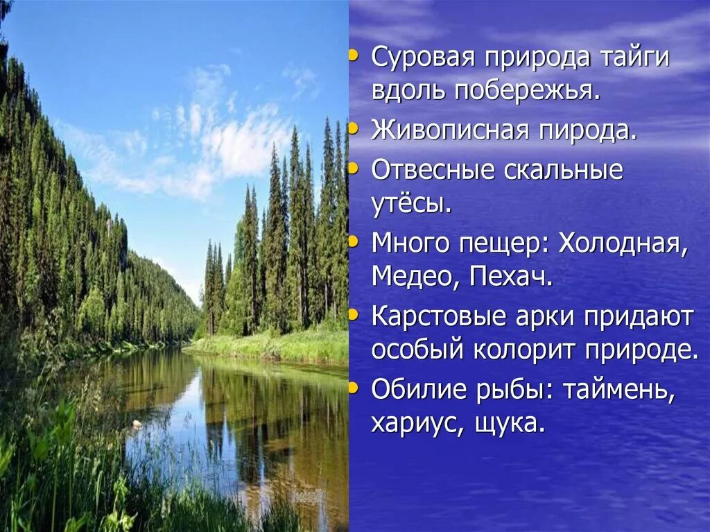 Какие природные богатства есть в пермском. Природа Пермского края презентация. Внутренние воды тайги. Воды тайги в России. Внутренние воды зоны Тайга.