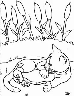 Котик скопировать