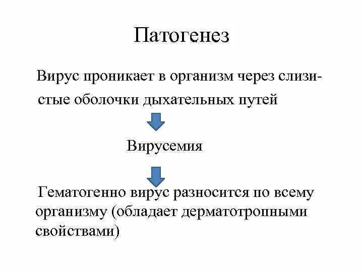 Патогенез вируса гриппа. Стадии вирусного патогенеза. Патогенез вирусов микробиология. Патогенез вируса гриппа патанатомия. Вирусы патогенез