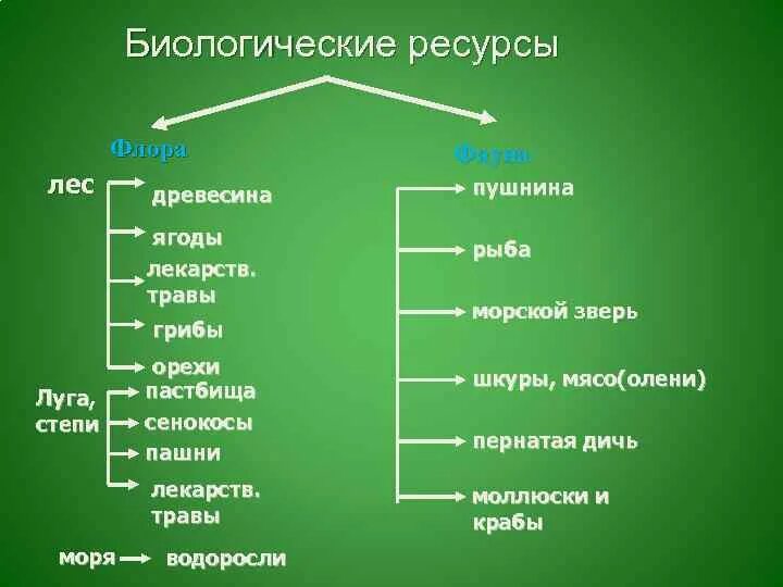 Биологические ресурсы. Биологические ресурсы виды. Схема биологических ресурсов.