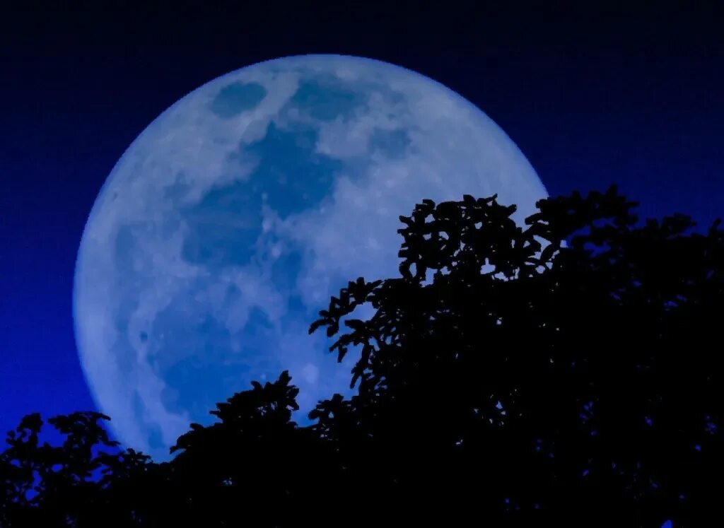 Каким цветом луна на небе. Голубая Луна. Синяя Луна. Цветная Луна. Голубое полнолуние.