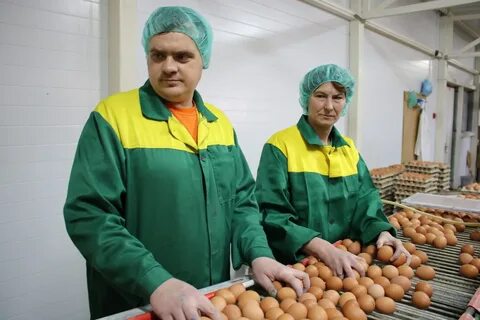 Новомышастовская птицефабрика