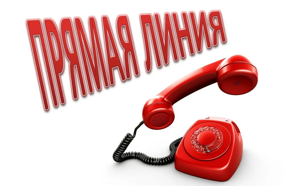 Прямая линия по субботам. Прямая линия. прямая телефонная линия. прямая телефонная лини. прямая телефонная линия картинки.