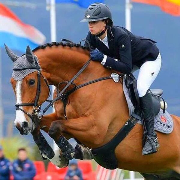 Конная спортсменка. Спортсменка конного спорта. Изабель верт конный спорт. Марина анатольевна афрамеева. Спортсменка конного спорта.