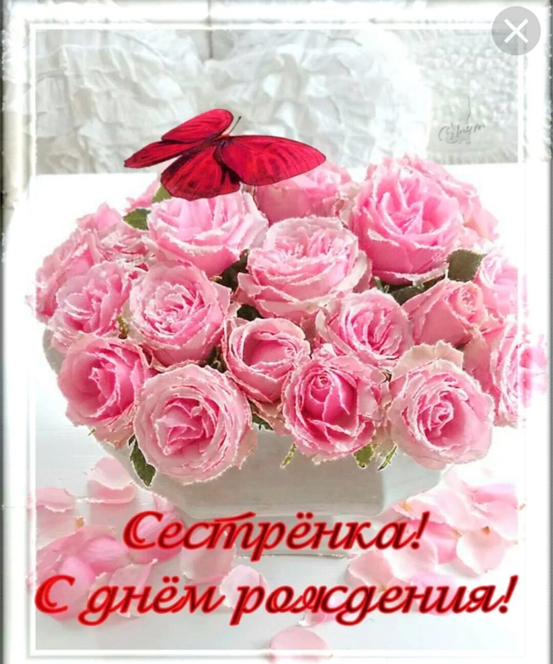 Поздравления с днём рождения сестре. Поздравления с днем рождениясесте. С днём рождения любимая сестрёнка. Дорогая моя сестренка поздравляю с днем рождения. С днём рождения сестрёнка.