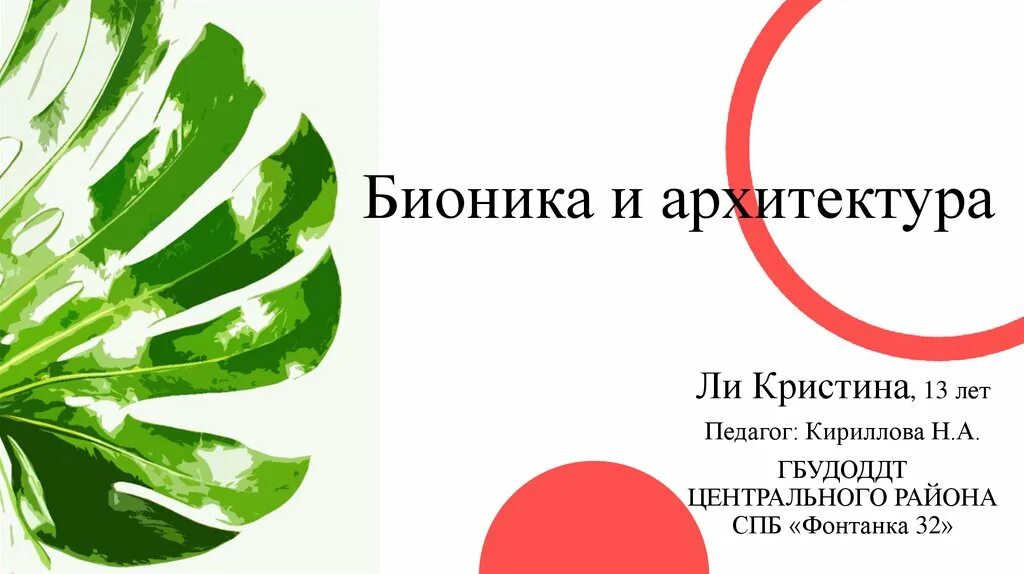 Бионика растения. Бионика фон для презентации. Шаблон для презентации Бионика. Бионика презентация. Центр бионика