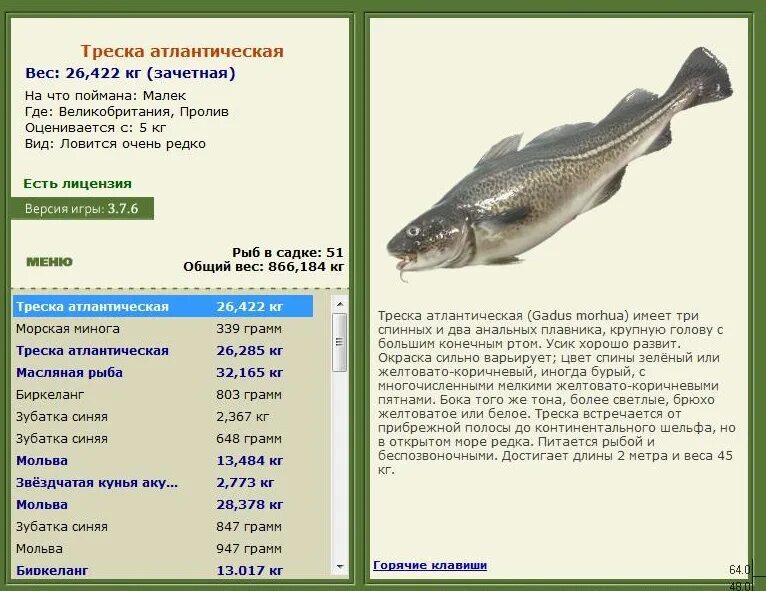 Жареная рыба ккал на 100г. Русская рыбалка треска атлантическая. Жареная рыба ккал. Калорийность супов таблица готовых блюд. Сколько калорий в пикше.