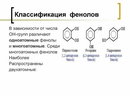 Биологическая роль фенола