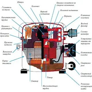 Устройство компрессора холодильника