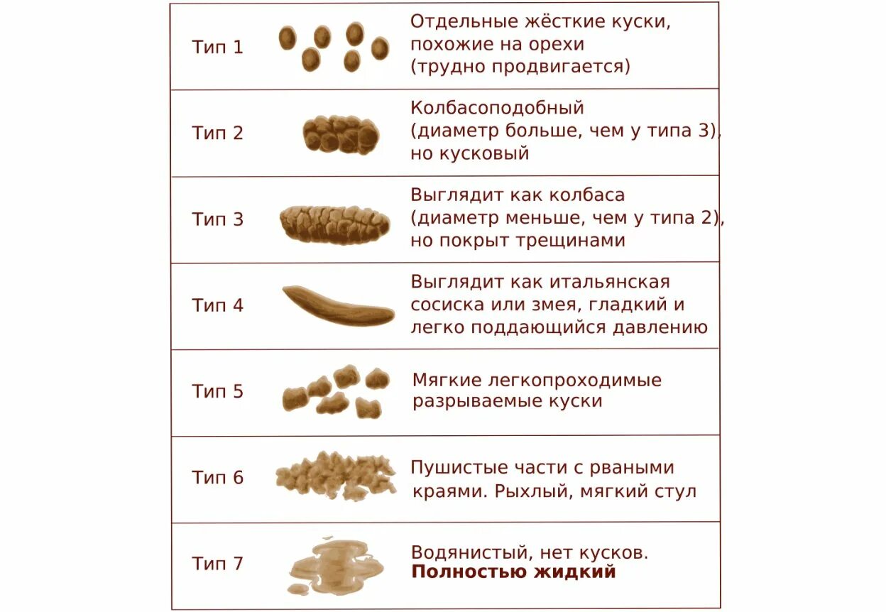 Кашицеобразный стул у ребенка. Кал при запоре у новорожденного. Нормальный стул у ребенка 1 год.