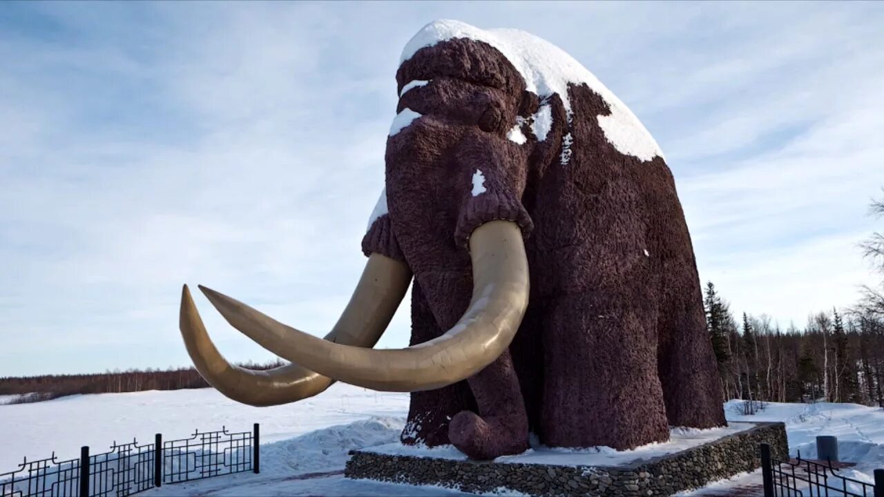 Ямало-ненецкий автономный округ город салехард. Удомля ледяная горка. Магадан мамонт памятник. Олень салехард скульптура. Монумент мамонта в салехарде.
