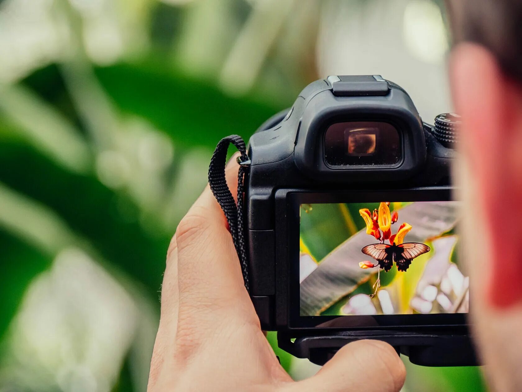 Фотоаппарат фотографирует. Фотоаппарат в руках. Фотографирутефотоаппарат. Снимки на зеркальный фотоаппарат.