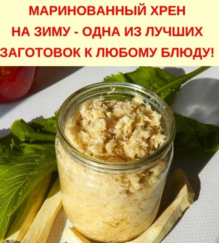 Как можно хранить хрен. Хрен маринованный. маринованный хрен на зиму.