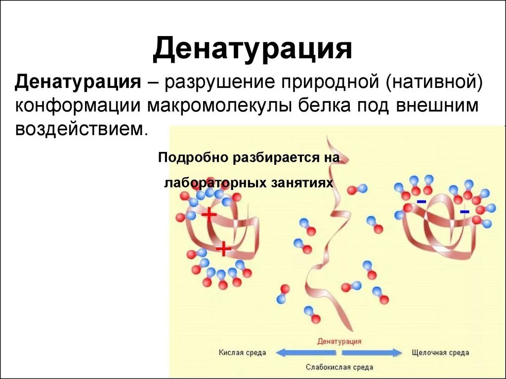 Процессы денатурации белков. Денатурация растворов ВМС. Денатурация белка это разрушение. Свертывание белков. Денатурация белков.