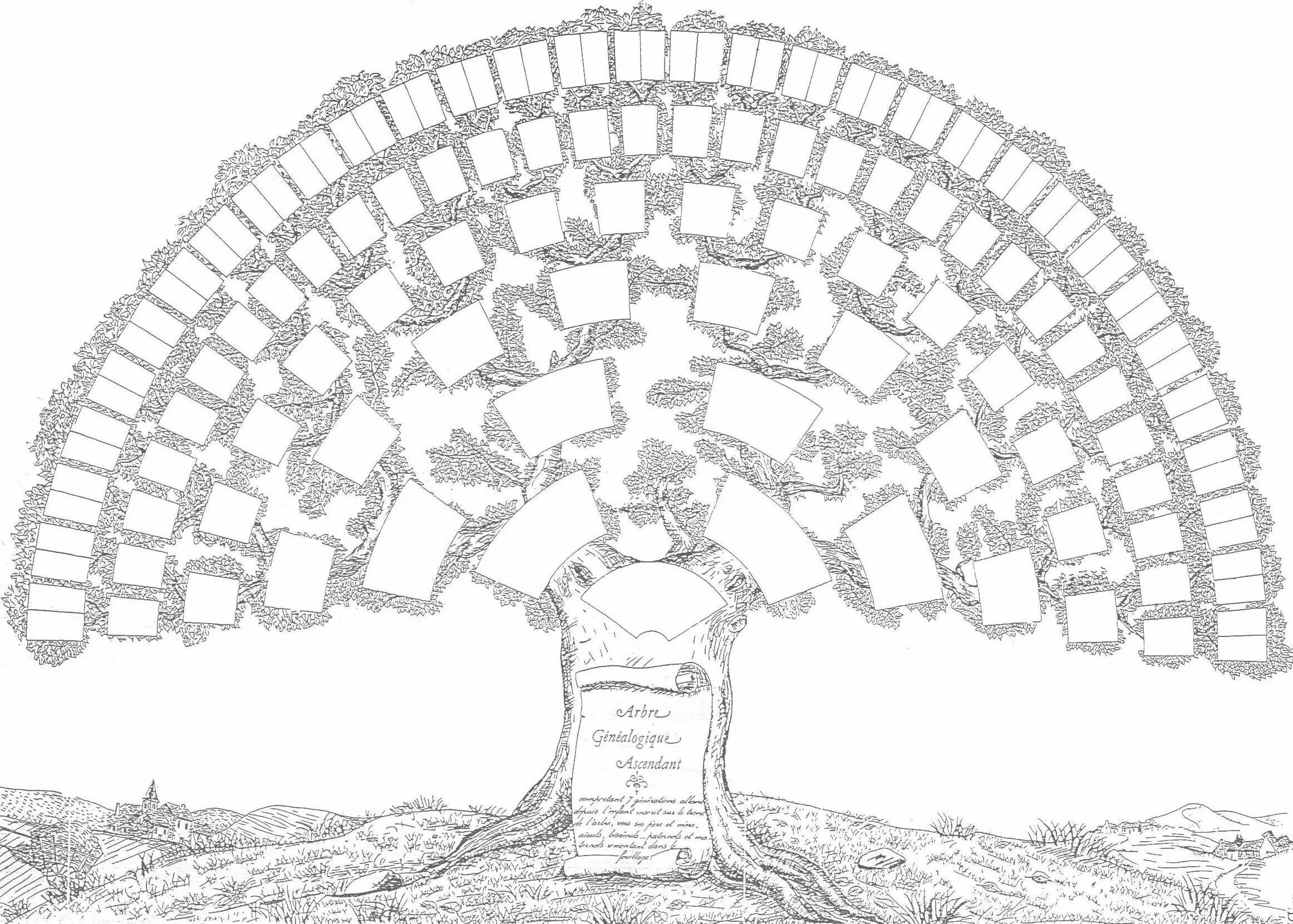 Семь поколений рода родовое Древо. Родословная дерево Шежере. Родословная генетическая дерево. Схема родословной семьи 7 поколений. Древо заговорщик