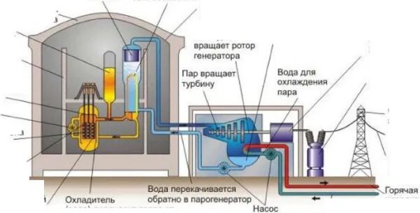 Какие функции выполняет вода в ядерном реакторе