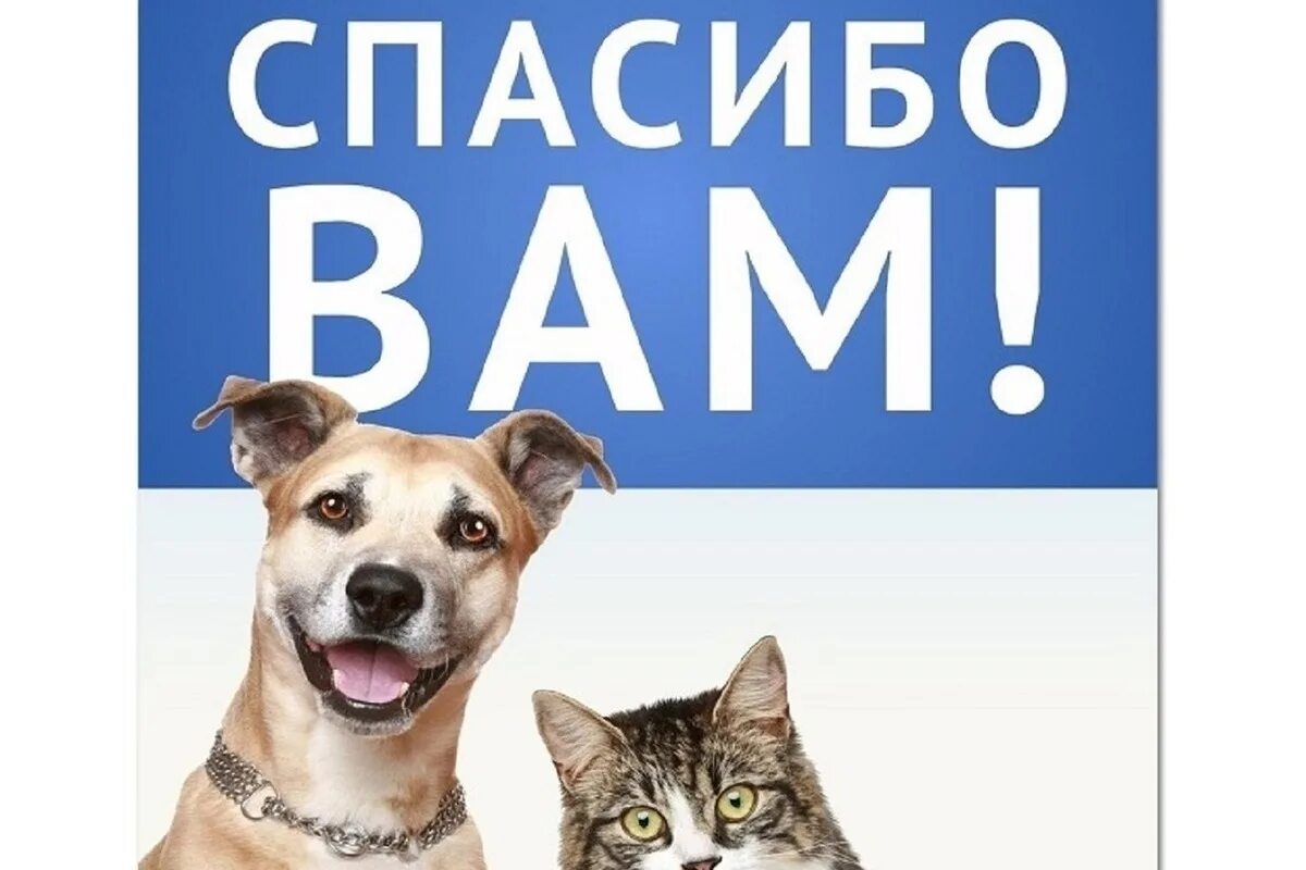 Thanks animals