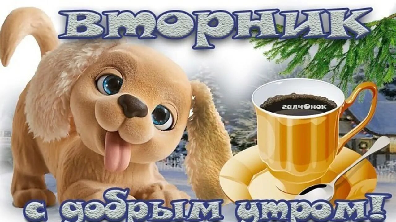 Картинка с добрым утром вторника прикольные. С добрым утром вторника картинки прикольные. Открытки с добрым утром вторника. Смешные пожелания с добрым утром. Веселого вторника открытки.