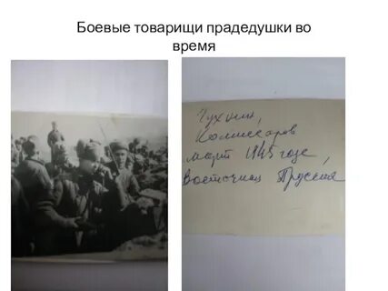 Боевой товарищ