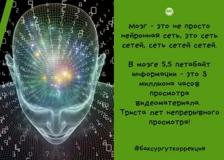 Коррекция мозгов