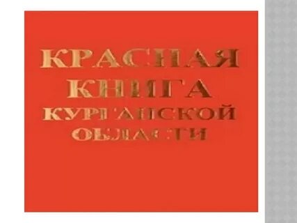 Книга курганская область