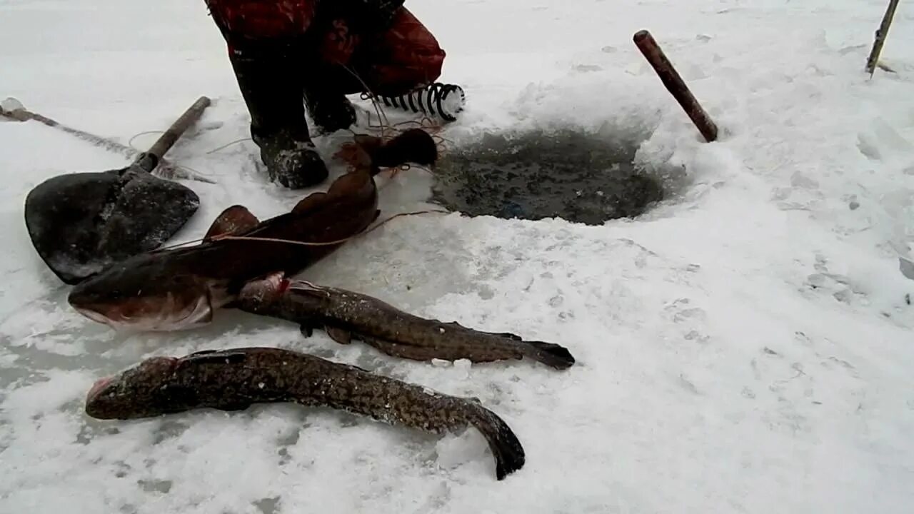 Ставить уды