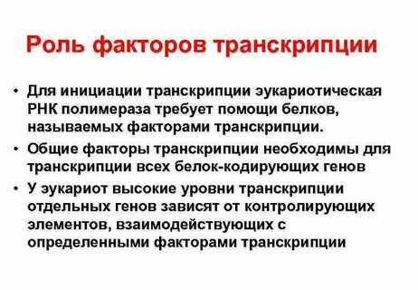 Роль транскрипции