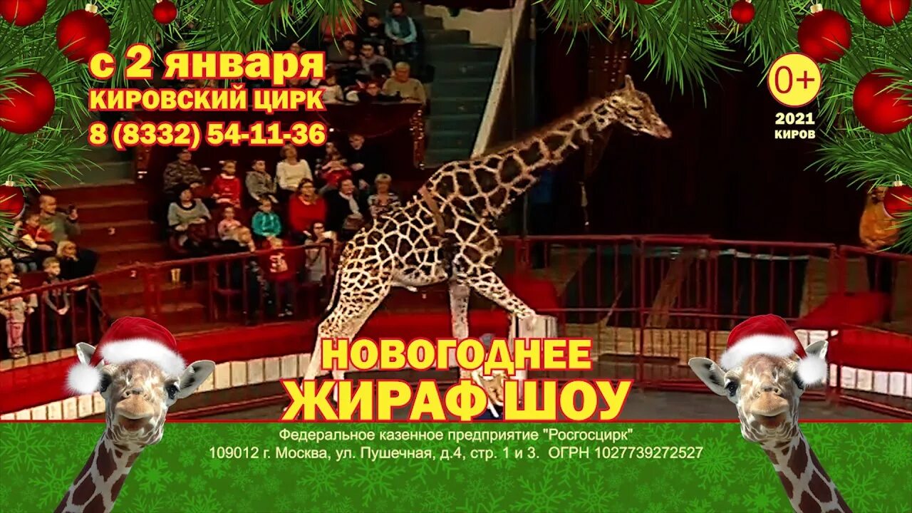 Детский парк аполло в кирове. Дом с жирафом химки. Парк аполло киров. Парк аполло киров жирафы. Жирафы парк аполло.
