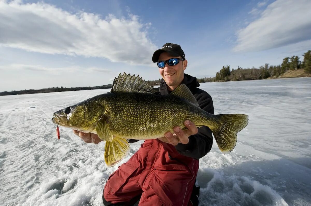 Ice fishing коды. Ice fishing коды
