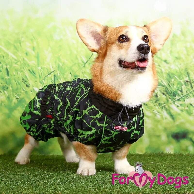 Дождевик для корги. Formydogs дождевик для вельш корги. дождевик для корги пемброк. formydogs дождевик для собак вельш-корги (для мальчиков).