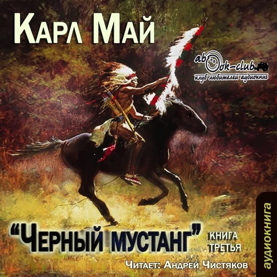 Книги про май. Черный Мустанг книга.