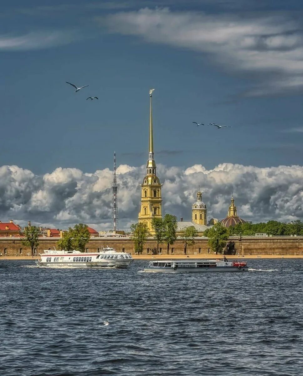 Где в санкт петербурге находится петропавловская крепость. Петропавловская крепость в санкт-петербурге. заячий остров в санкт-петербурге. петропавловская крепость в санкт-петербурге территория. петропавловская крепость с невы.