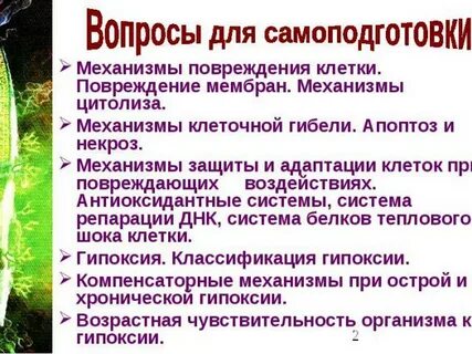 Механизмы повреждения мембран клеток