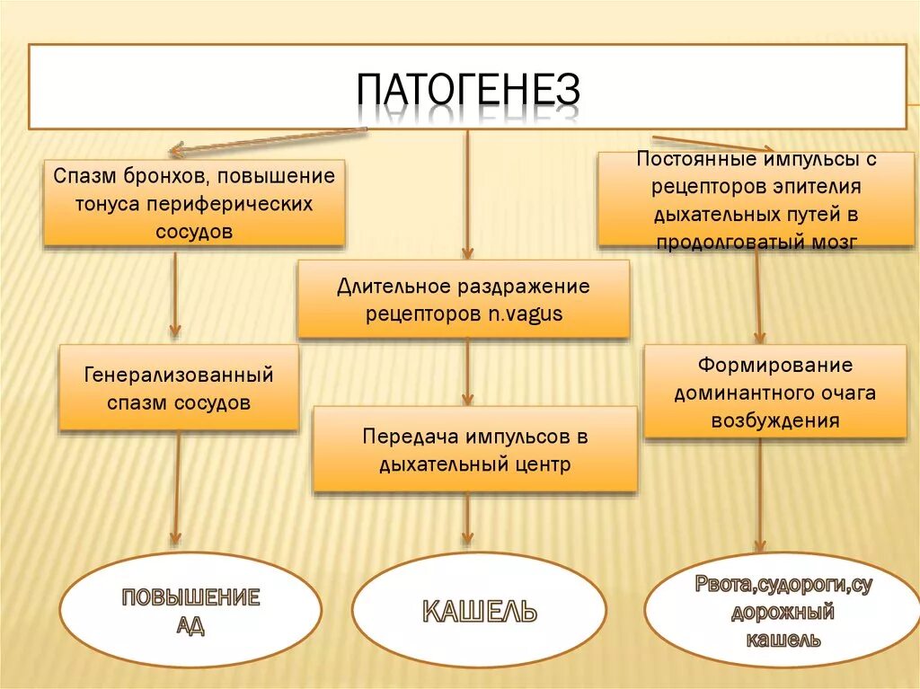 Патогенез паракоклюша. Коклюш возбудитель этиология. Коклюш паракоклюш патогенез. Патогенез коклюша у детей.