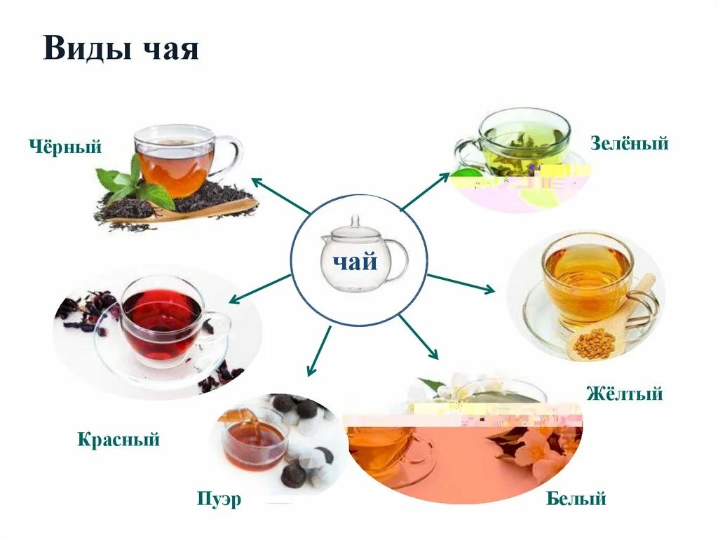 Чай напиток виды. Виды чая. Виды чая картинки. Виды чая в кафе. Горячие напитки виды.