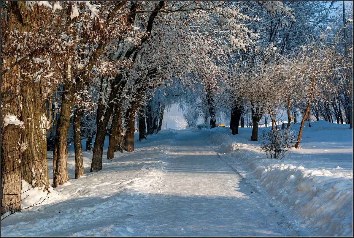 Зимняя аллея в парке. Зимняя аллея. Солнечная зима в городе. Зимний парк. Зимняя аллея в парке.