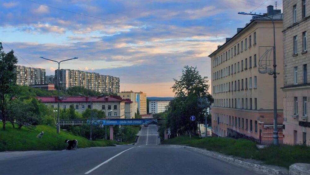 Улица Полярная Североморск. Североморск лето. Мурманская область, Североморск, улица Сафонова, 9. Душенова 11 Североморск. Душенова ул