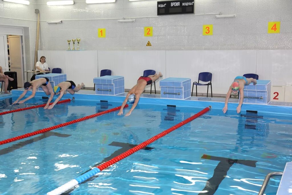 Бассейн дельфин озерск 2021. Бассейн дельфин занятия. Бассейн дельфин занятия. Бассейн дельфин занятия. Бассейн дельфин занятия.