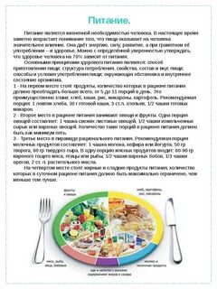 Для чего нужно употреблять пищу