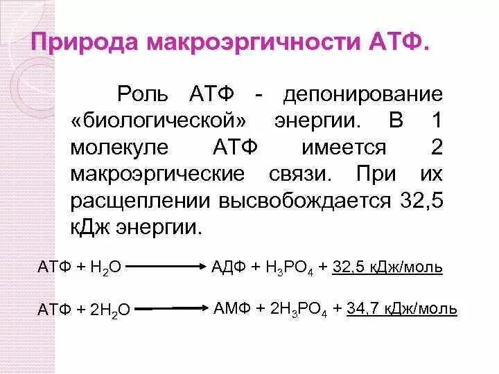 Атф кдж. Макроэргичность АТФ. Гидролиз молекулы АТФ. Расщепление АТФ. Разложение АТФ.