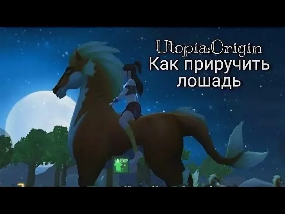 Как приучить коня