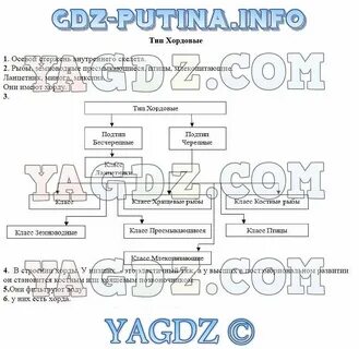 Лабораторная работа по биологии строение млекопитающих