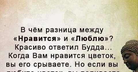 Нравится и нравится разница