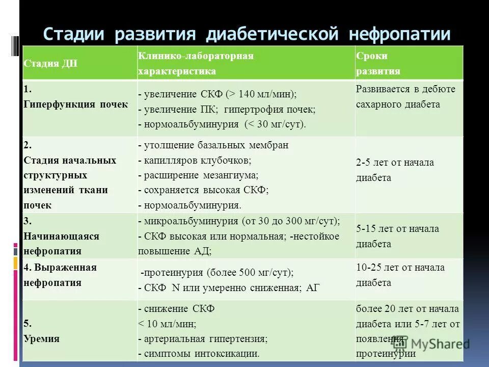 диабетическая нефропатия стадии таблица. скф при диабетической нефропатии. диабетическая нефропатия а2. диабетическая нефропатия 1 типа. стадии нефропатии.