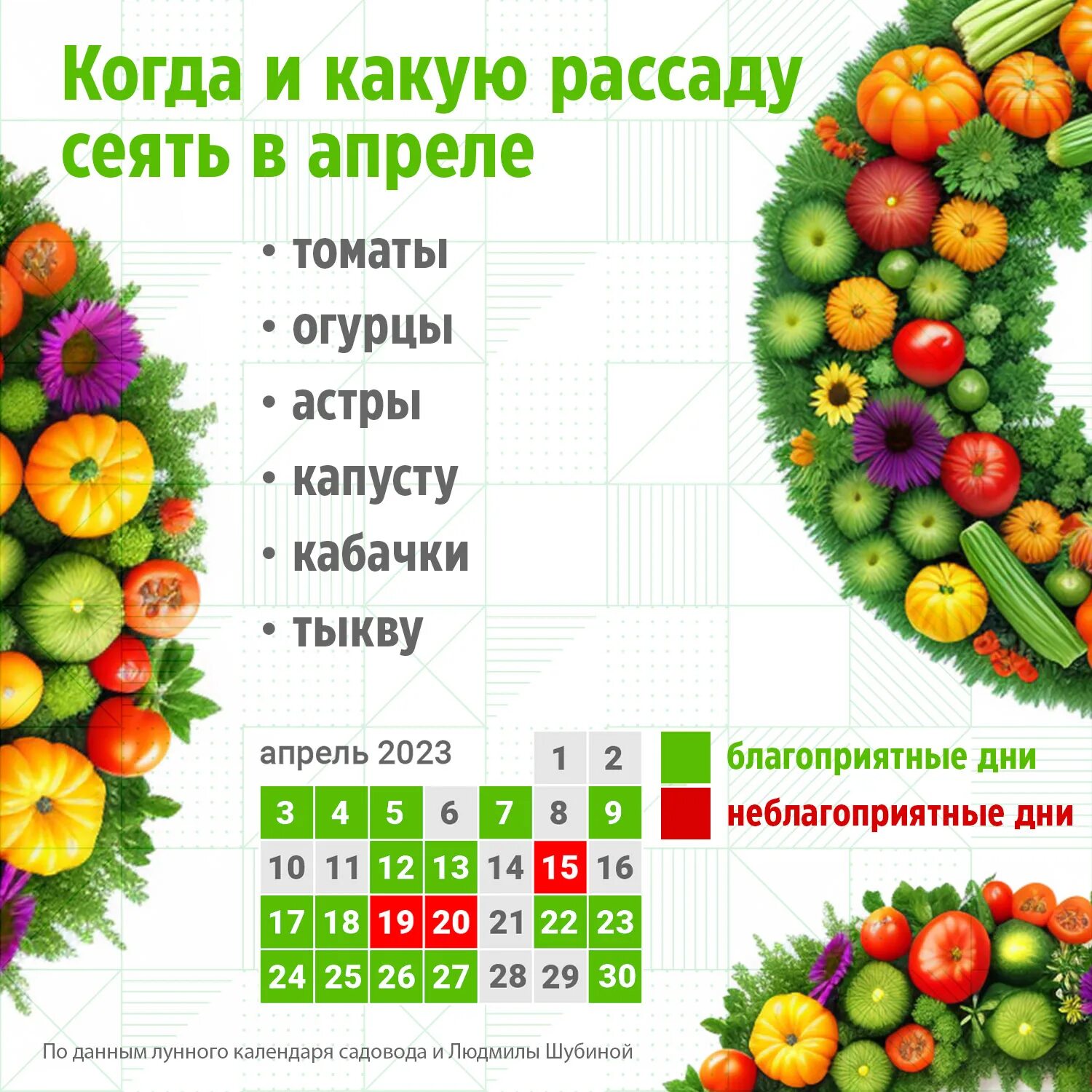 Когда сажать помидоры на рассаду в поволжье. Когда сеять помидоры. Когда лучше сеять помидоры. Когда садить помидоры. Помидоры на рассаду в 2023.